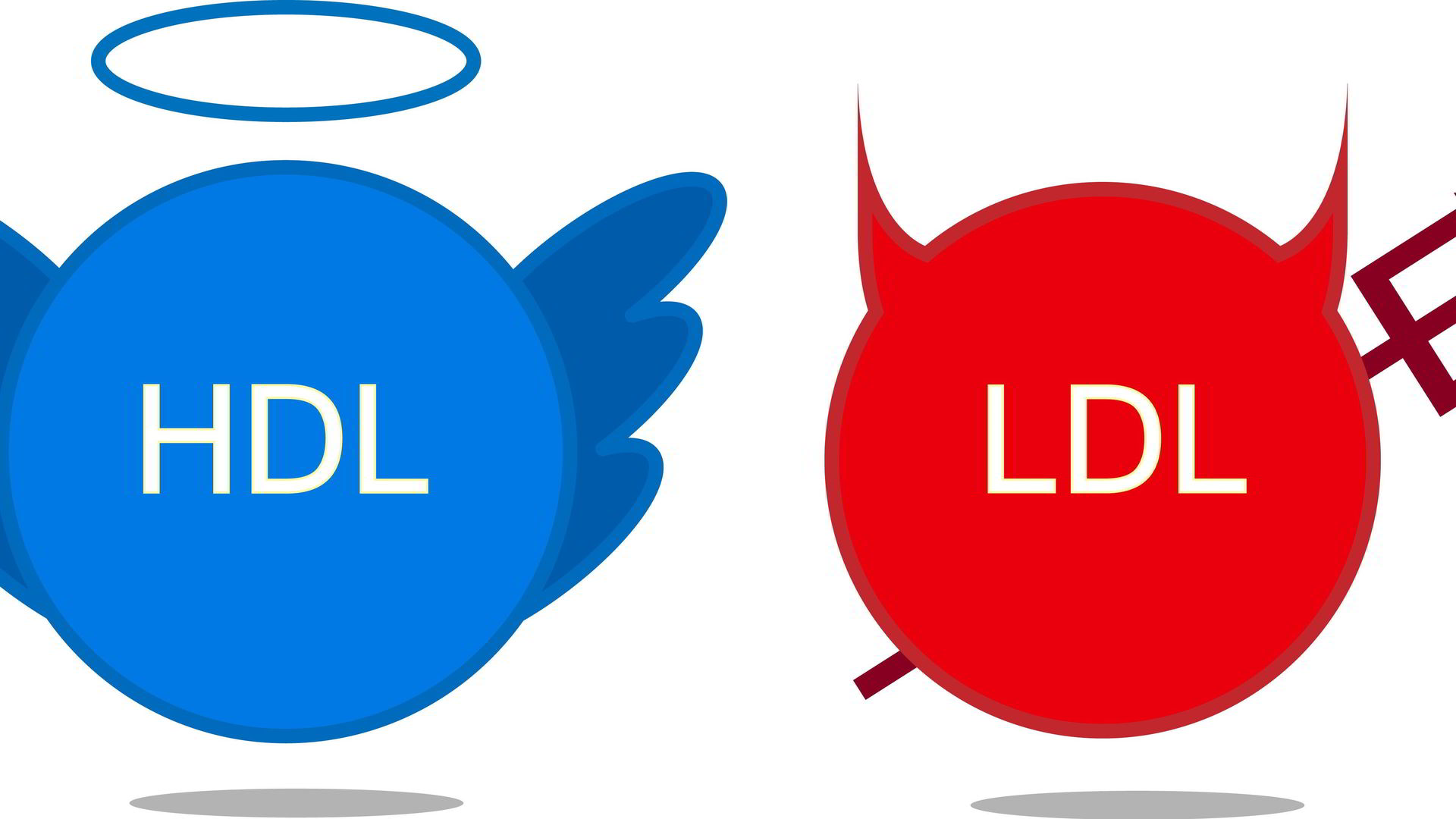 HDL vs LDL cholesterol.