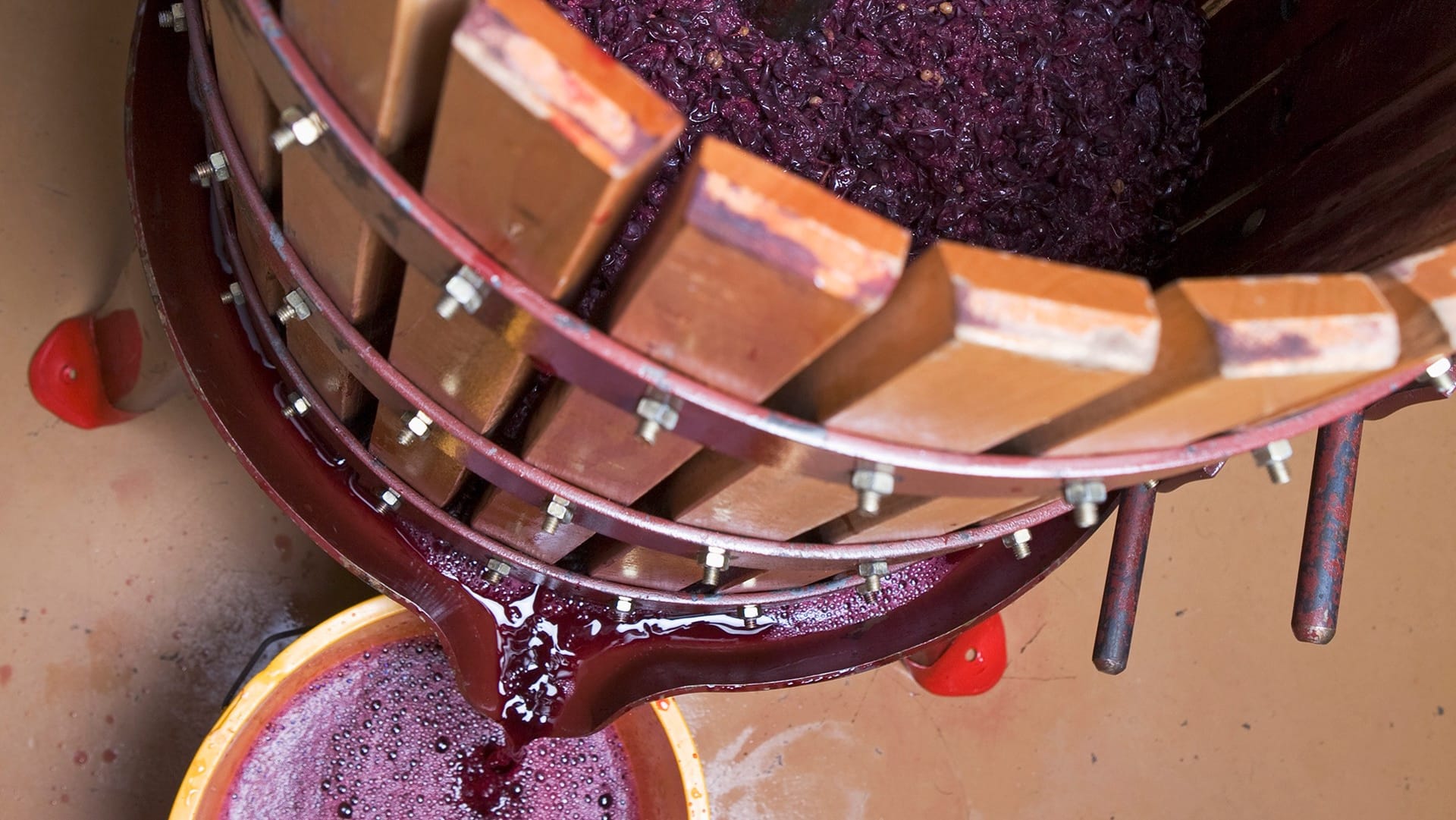 Lisovanie hrozna na výrobu červeného vína.
